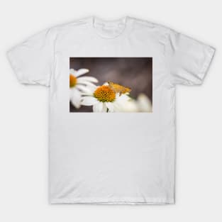 Double Skippers on PowWow Coneflower T-Shirt